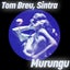 Murungu - Extended Mix