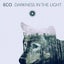 Darkness in the Light - Extended Mix