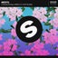Chances (feat. Brielle Von Hugel) - Extended Mix