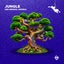 Jungle