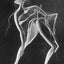 Primitive Spirits