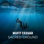 Sacred Ground