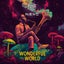 WonderFull World