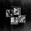Epistemic Collapse