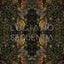 Aether
