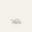 The Turtle