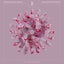 Hymnesia - Pretty Pink Remix