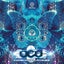 Conscious Machines