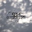 Ordinant 6