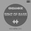 Miami Bass