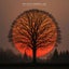 The Sun Never Sets In Dakar - Extended Mix