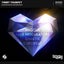 Diamonds - Bass Modulators Extended Remix