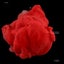 Diffusion