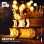 Destiny (feat. MC Activate) - Extended Mix