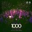 1000 Sterne - Talla 2XLC Extended Trance Rework