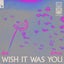 Wish It Was You feat. Cate Downey - Axis Extended Remix