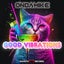Good Vibrations - 2023 ReWrk
