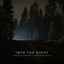 Into the Night