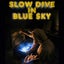 Slow Dive in Blue Sky