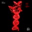 DNA Roots - Extended Mix