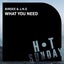What You Need - Extended Mix