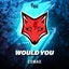 Would You - Extended Mix