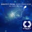 Never Coming Down - Rafael Frost Remix