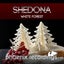 White Forest - Extended Mix