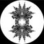 Particle I