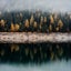 Distorted Landscape