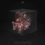 Unclassified feat. Mykki Blanco