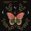 Butterfly Effect - Extended Mix