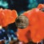 Planetarium - Gigi Masin Remix