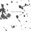 Psicomorfosis