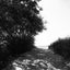 Solitude