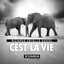 Cest La Vie - Extended Mix