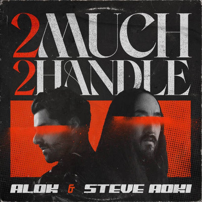 2 Much 2 Handle (Extended Mix)