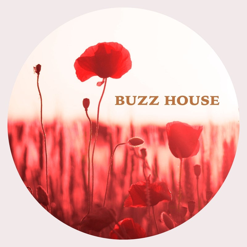 Buzz House