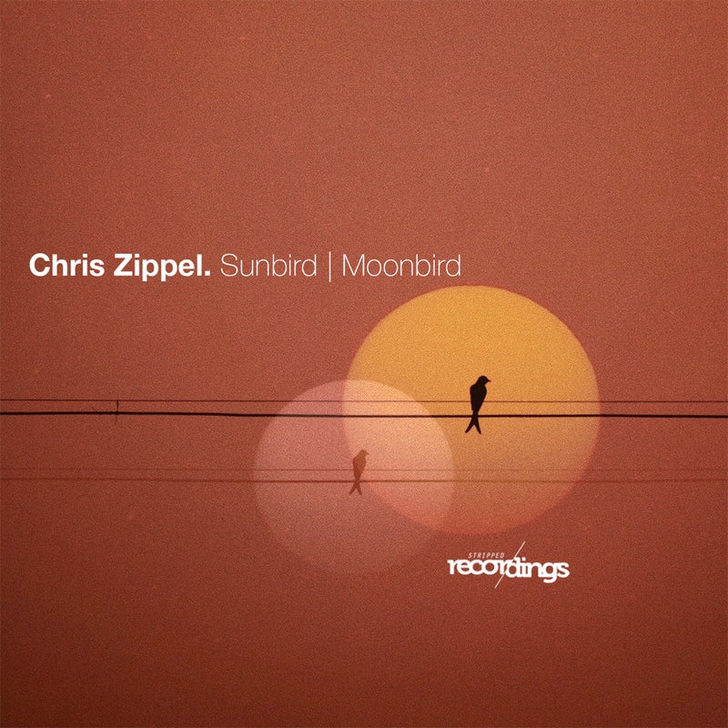 Sunbird | Moonbird