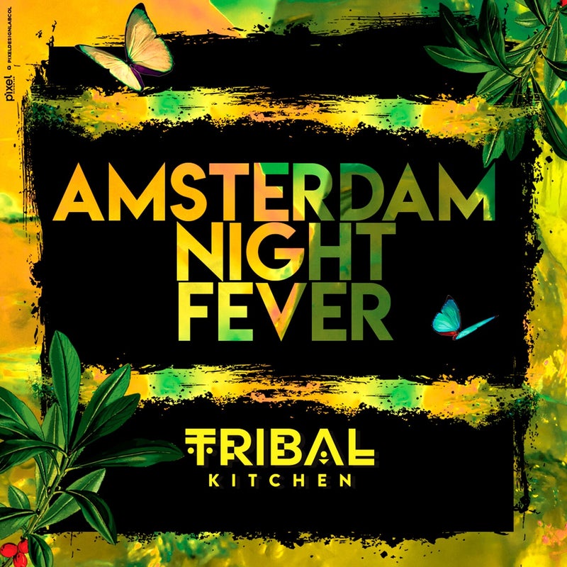 Amsterdam Night Fever