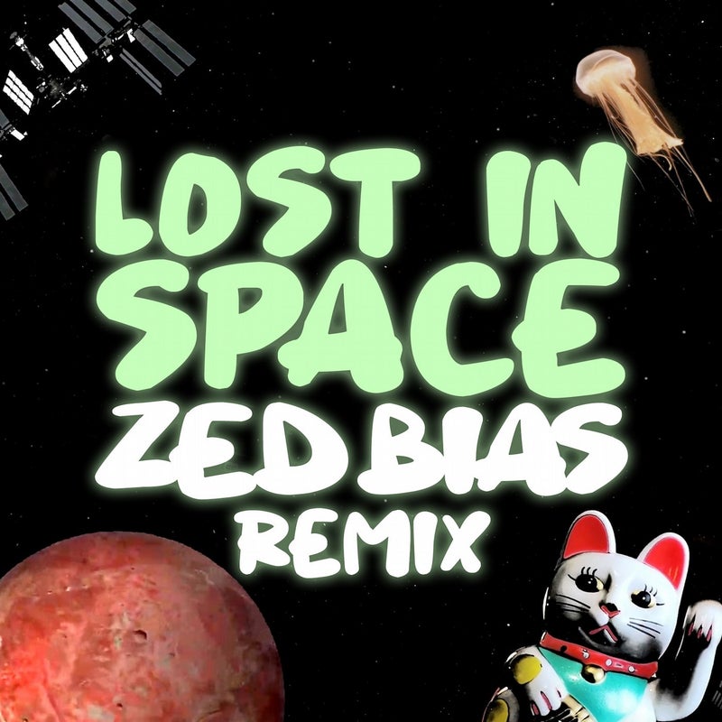 Lost in Space (Zed Bias Remix)