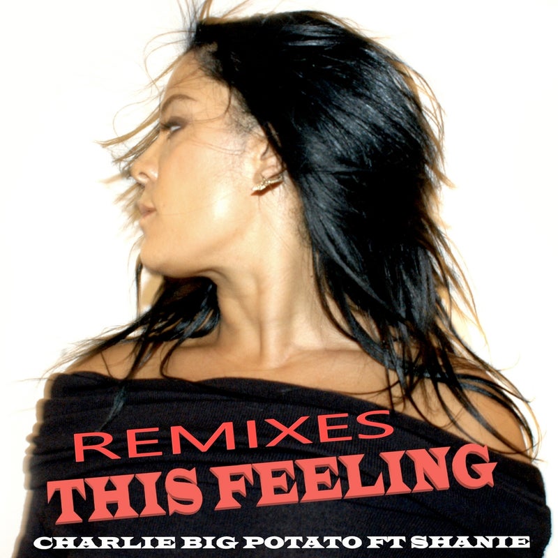 This Feeling (Remixes) (feat. Shanie)