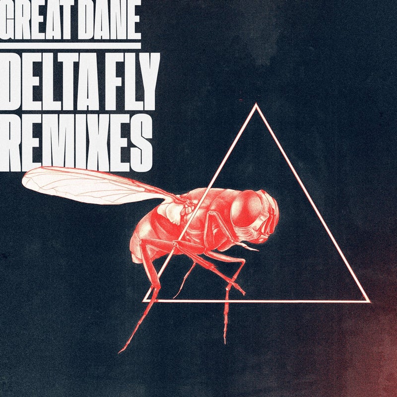 Delta Fly Remixes