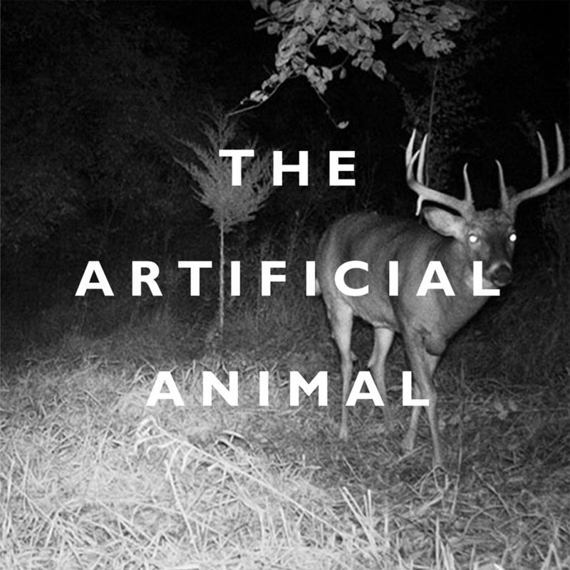 The Artificial Animal