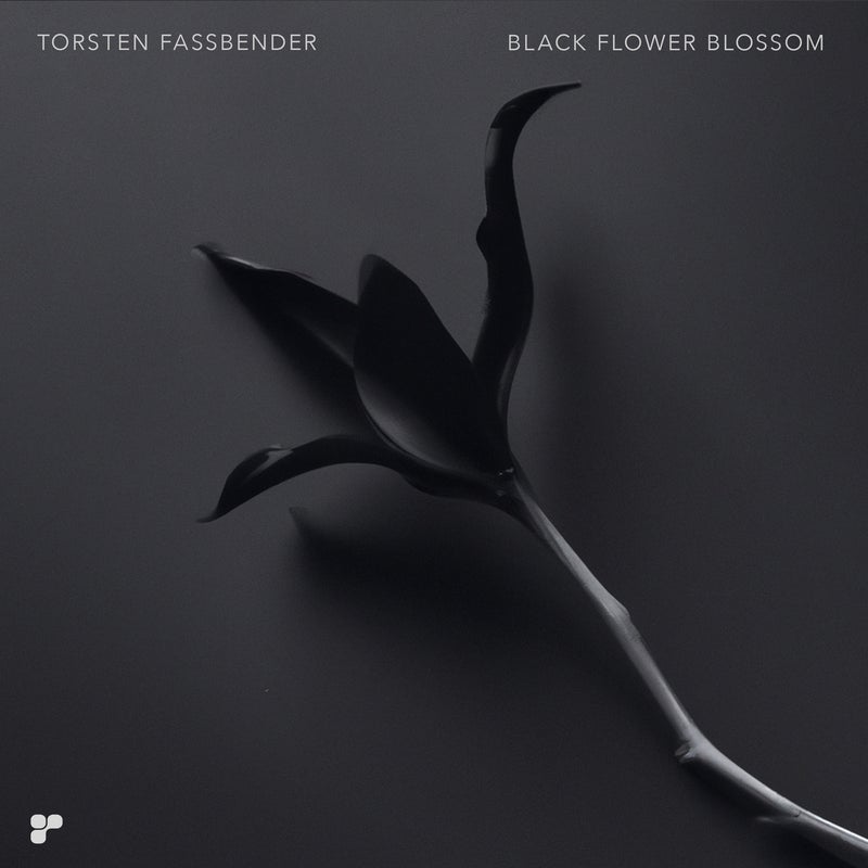 Black Flower Blossom