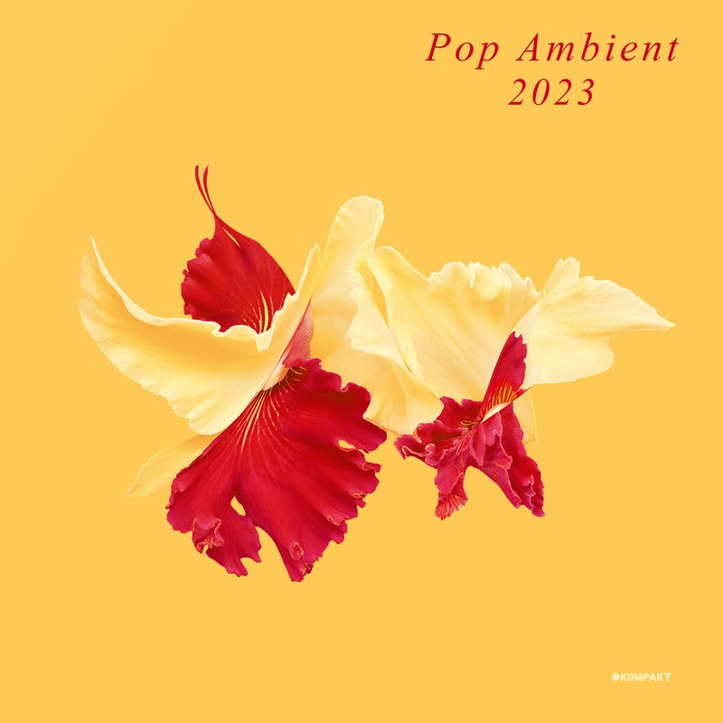 Pop Ambient 2023