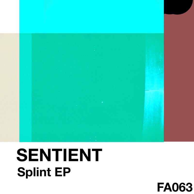 Splint EP