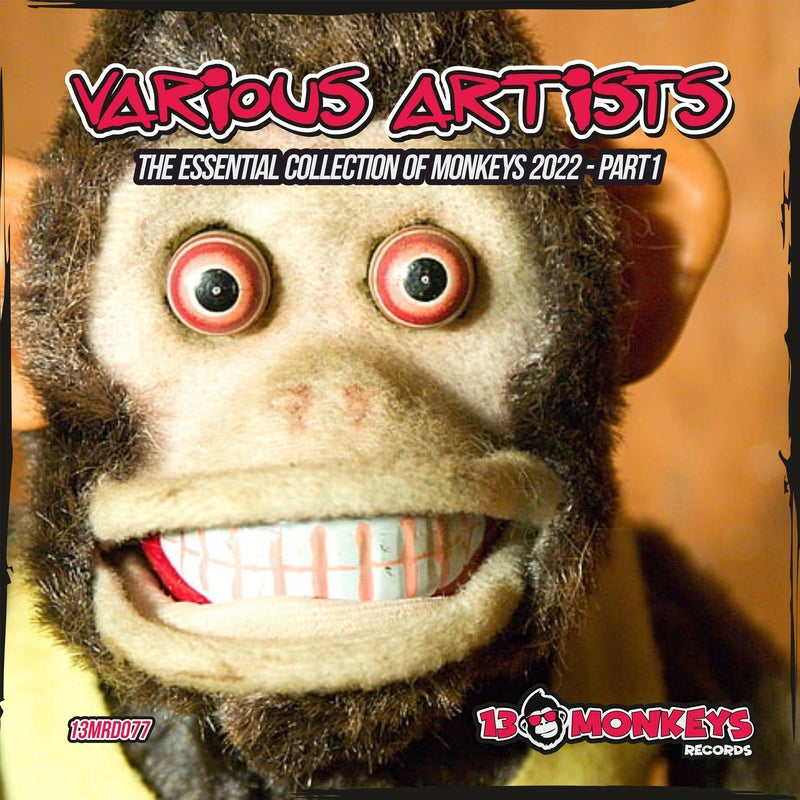 The Essential Collection Of Monkeys 2022 - Part1