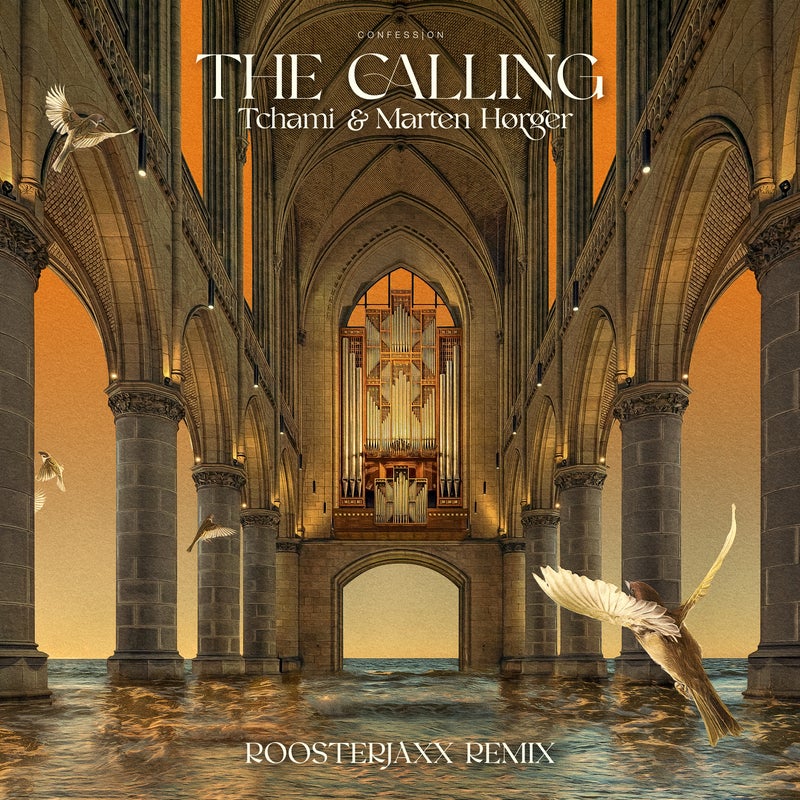 The Calling (Roosterjaxx Remix)