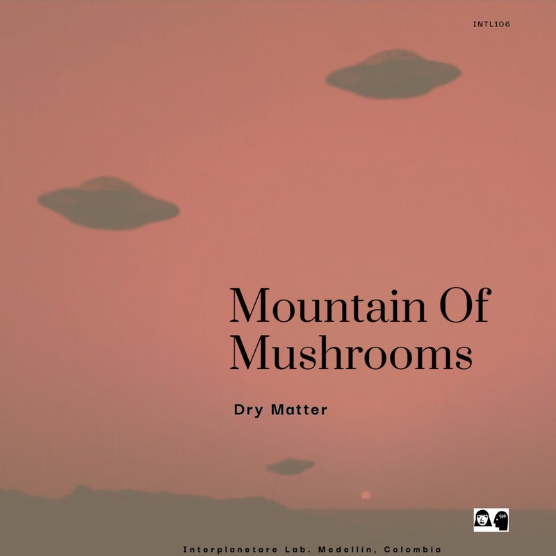 Mountain Of Mushrooms